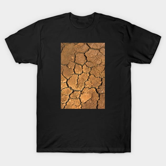 Dried soil texture T-Shirt by textural